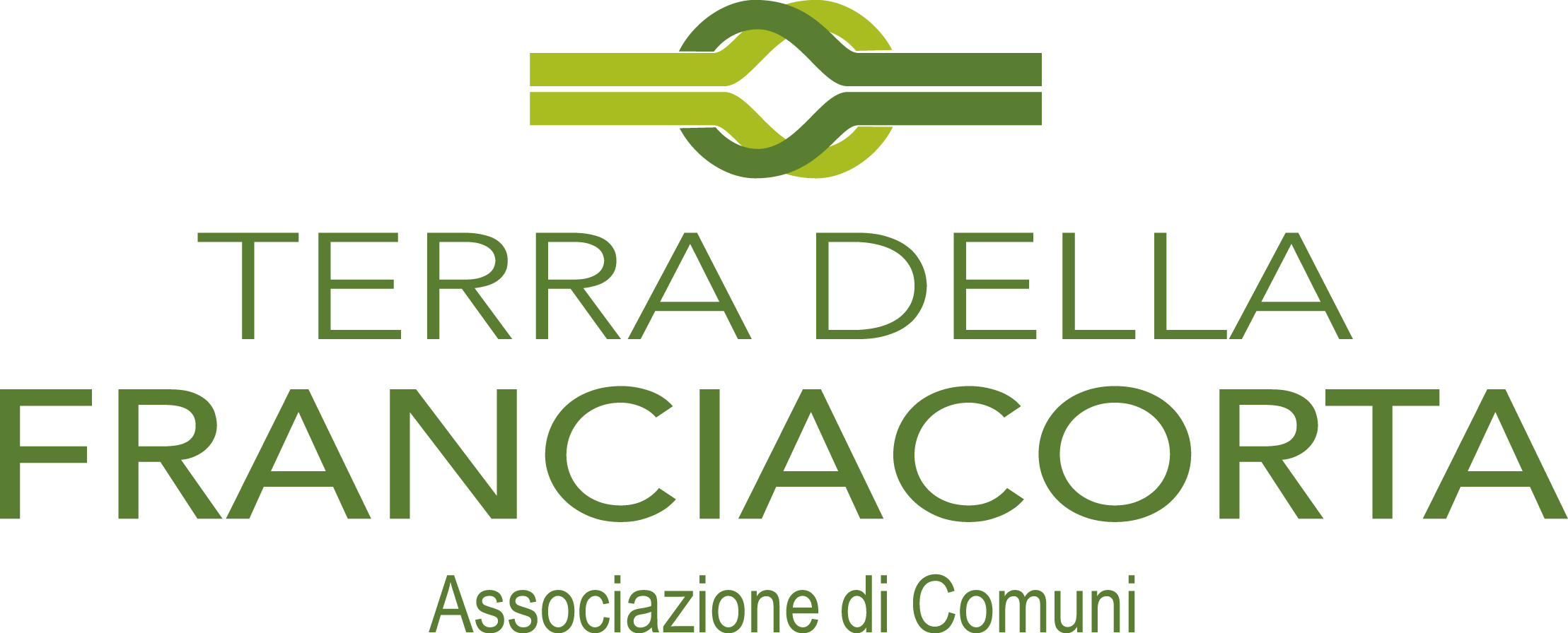 Immagine anteprima