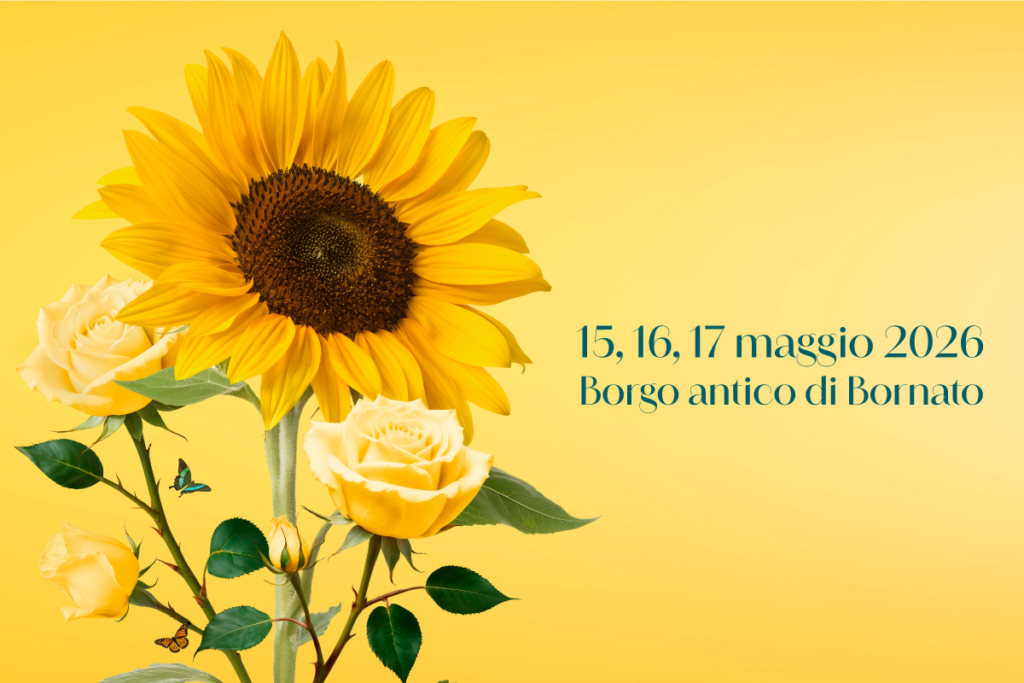 Immagine anteprima