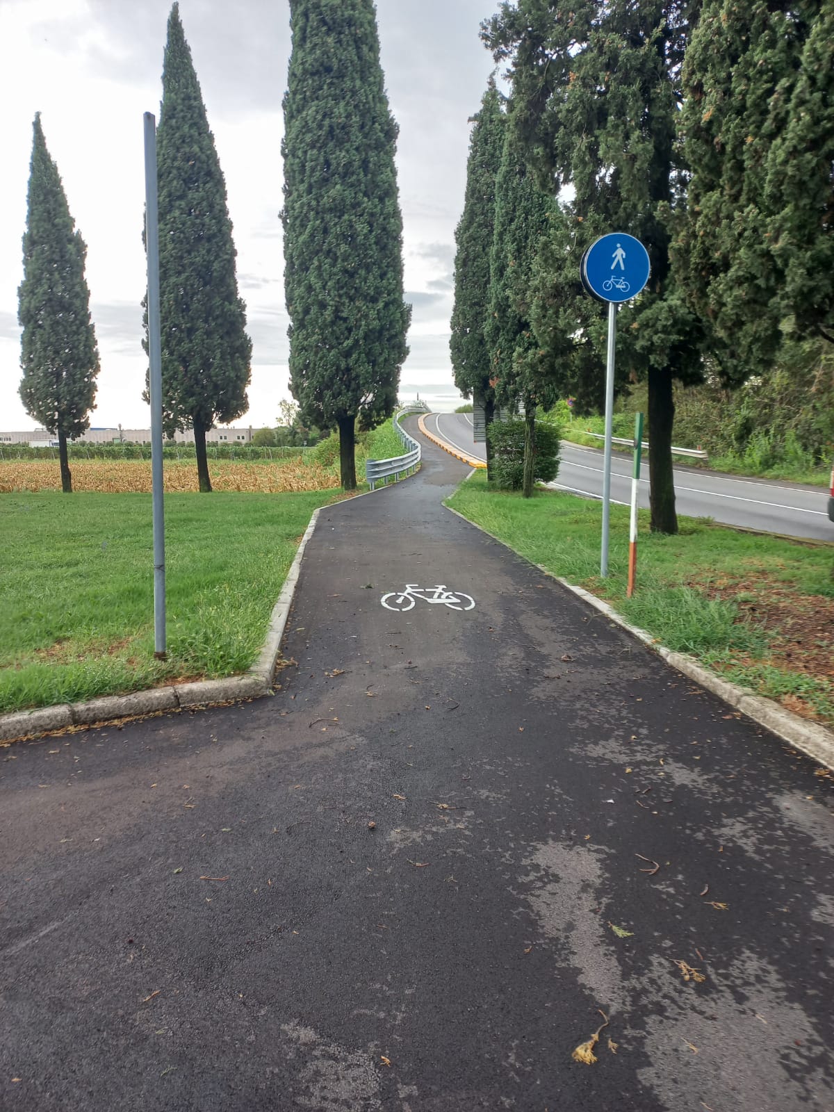 Immagine anteprima